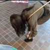         ﾔｰ太郎     
