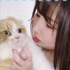 🐯ぽぽ🐇🐁