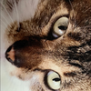もりや