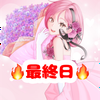 春乃音 セラ🍎💝最終日❤‍🔥缶詰パーティー♡