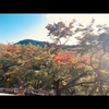 林勇作