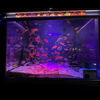 水族館