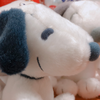 YuKi_