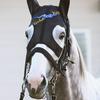 🐎お馬さん🐎パッカパッカパッカパッカ