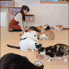 さくら🌸
