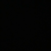 だにえる