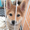 亜砂也