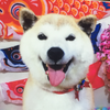 ユーザーアイコン