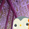 くぼちゃん応援団団長我が名はゆうと