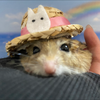 たきこみごはん