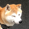 もぴ🐿☁️