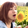 しぐれ