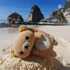 🏝ぶ～たん【ちぃー🥀🐰MG】