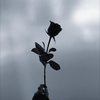 🥀