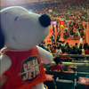 🐏🍒★jets★🦕🎙✅🏀🍓