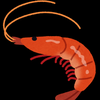 🦐セウ🦐