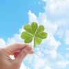  🍀 