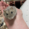 たく