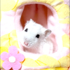 むぎぃむぎぃ76