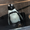 こほこほほこ