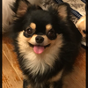 てっちゃん