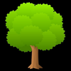 🌳🌳🌳