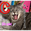 Dr.CAT私失敗しかしないので