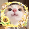 ユーザーアイコン