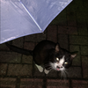 雨都/ameto/
