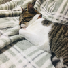 あやみ