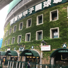 ホーリー