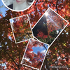 🍁けい🍁