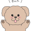 わんた🐶‪🐾‬