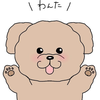 わんた🐶‪🐾‬