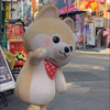 田中あずき