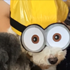まこと