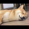 う