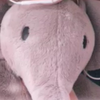 🐘象🐻🍼🍠🐰🌸🥨🐬　