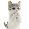 ねこ