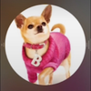 みんみん②