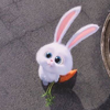てぃーせい