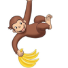 ジョージ🍌🐒