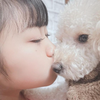 あんころMG｢Anjuの森🐰🎀🐩｣