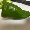 なすび