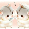 ひー🥋🧘‍♀️🌷💗🌛