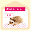 🦔🦎にゃあ🐿🐹