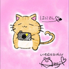 ☀️はにねこ🌙🌱猫が好き🌱にゃー🐈