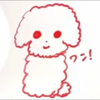 ぽんぽん🐶ྀི🧸🍳