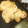 🐢カメアタマパンパン野郎🐢