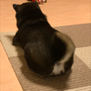 鐵くん
